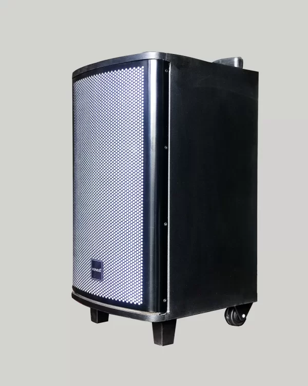 KINGS Party Trolley Speaker With Twin Mic, FM Radio, Bluetooth, RGB lights And 220 W. KINGS Signature Sound. - Image 5